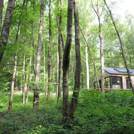 Modern Chalet For 4 People Ideally Located In The Woods Dom wakacyjny *